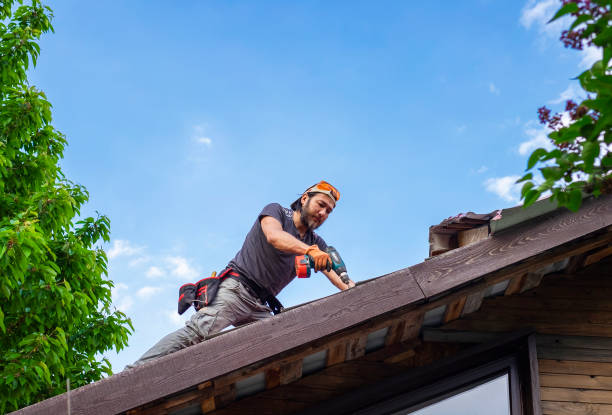Top Rated Roof Repair Contractors in [Your City]: A Comprehensive Review
