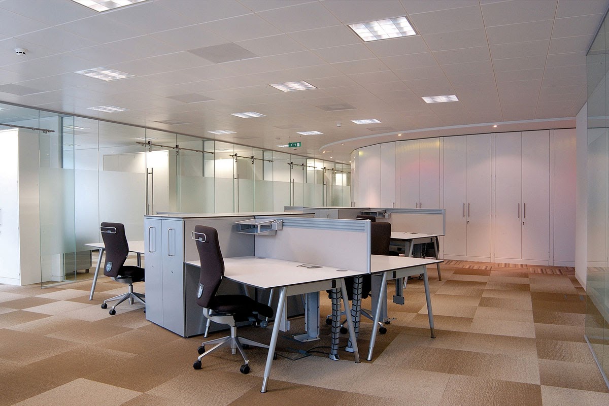 The Psychology of Shared Office Spaces: Impact on Morale and Performance